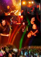 Wedding Entertainment - Bands