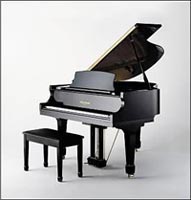 Pianist