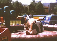 Buckin Bronco