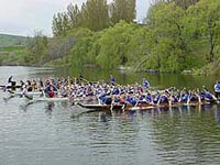 Dragon Boat Racing