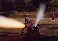 Napoleonic Cannons & Mortars