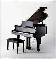 Wedding Entertainment - Pianist